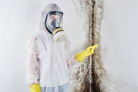 Best Basement Mold Removal  in Foxfire, NC